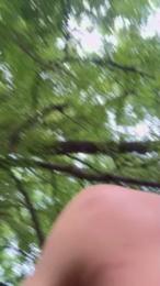 Outdoorsd webcam model stream image