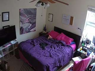 voyeurcam-hornyhostel-01 webcam model stream image