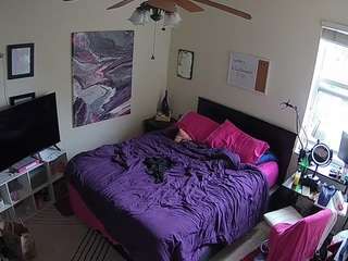 voyeurcam-hornyhostel-01 webcam model stream image