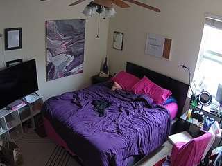 voyeurcam-hornyhostel-01 webcam model stream image