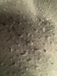 Flossy_Vettie webcam model stream image