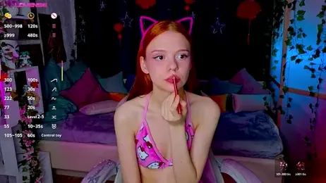 WeiSusi webcam model stream image