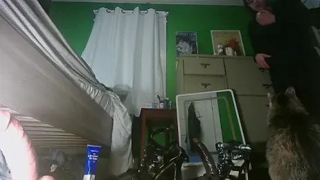 SadCatDaddy webcam model stream image