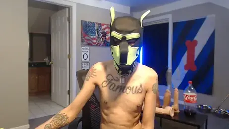 Michigan9000 webcam model stream image