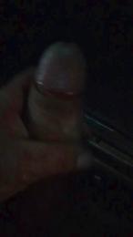 Piseloduro webcam model stream image