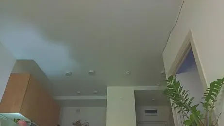 Lili_Roze_ webcam stripchat model stream image