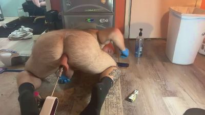Bearchub300 webcam model stream image