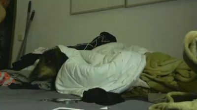 rafabr91 webcam model stream image