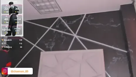 AerumChae webcam model stream image