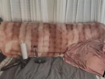 ava_west webcam model stream image