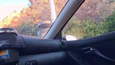 Xicodenia webcam model stream image