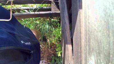 Xicodenia webcam model stream image