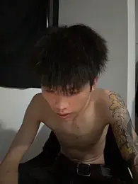 KPL-11 webcam model stream image