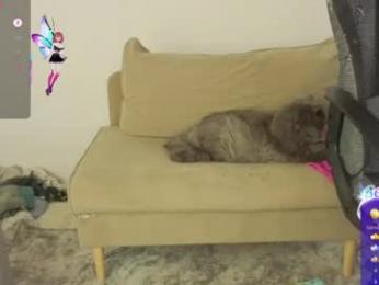 sexy_b0rsch webcam model stream image