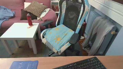 Yerele webcam model stream image