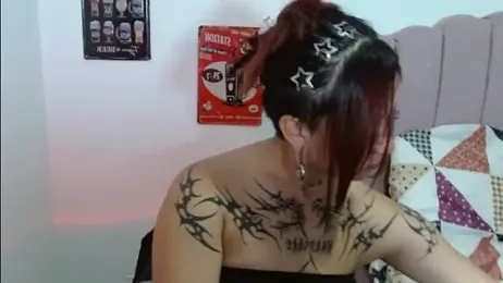 Evanss_lx webcam model stream image