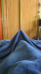 polli_play webcam cam4 model stream image