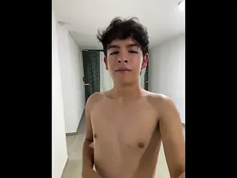Blum_icee webcam model stream image