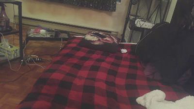 JANININA webcam cam4 model stream image