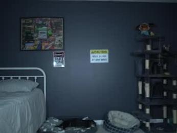 sydaffect webcam chaturbate model stream image