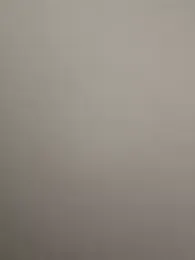 pioneer_s webcam model stream image