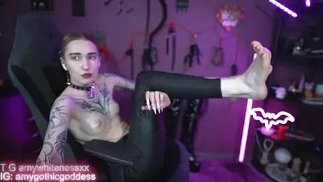 amywhitenessxx webcam model stream image