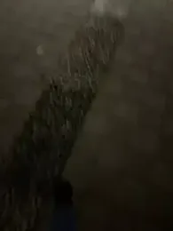 Foxfoxfox4 webcam model stream image