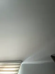 anli5 webcam model stream image