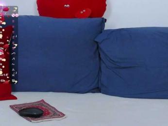 -Lorik- webcam model stream image