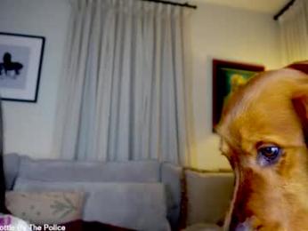 x_lily_x webcam chaturbate model stream image