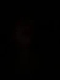 zelda252 webcam model stream image