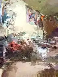 Beyond1978 webcam model stream image