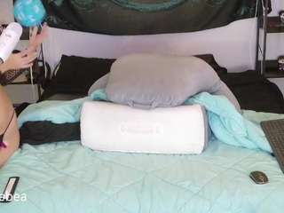 savethebea webcam model stream image