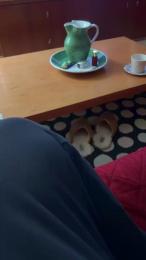 domyro webcam model stream image