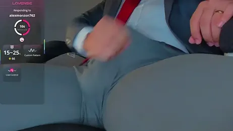 BulgeArt webcam model stream image