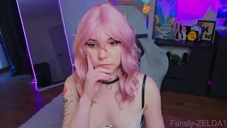 zelda_1 webcam model stream image