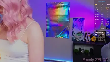 zelda_1 webcam model stream image