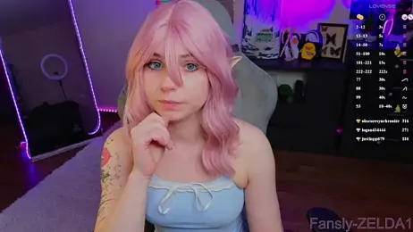 zelda_1 webcam model stream image