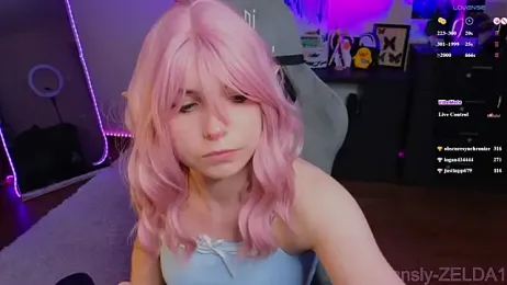 zelda_1 webcam model stream image