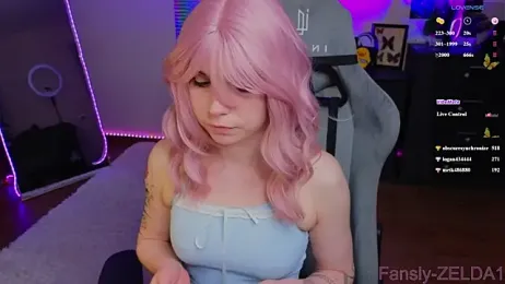 zelda_1 webcam model stream image