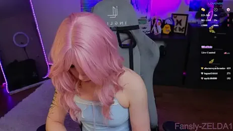 zelda_1 webcam model stream image