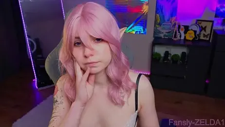 zelda_1 webcam model stream image