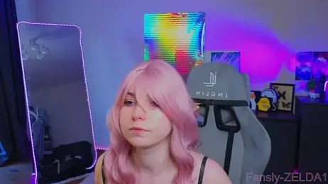 zelda_1 webcam model stream image