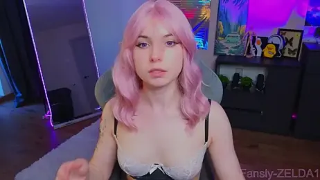 zelda_1 webcam model stream image