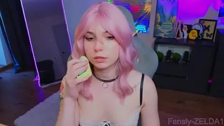 zelda_1 webcam model stream image