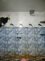 Indian_playboy_master webcam stripchat model stream image