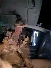 MALIK-PARVATI webcam model stream image