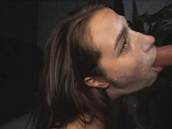 delpogorlo bongacams stream image