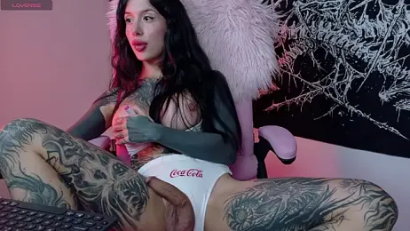 antoniaacxx stripchat stream image, 23.02.2026 20:40