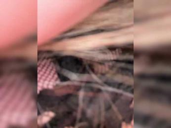 VictoriaFoxxx bongacams stream image